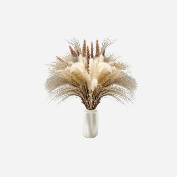 🔥Dried Grass Bouquet™ (Up To 60% Discount)👈