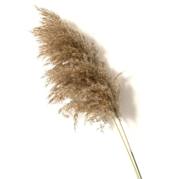 🔥Dried Grass Bouquet™ (Up To 60% Discount)👈